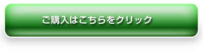 ヤフオクはコチラ